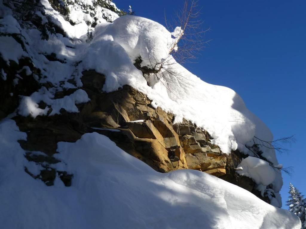 Haus Dagmar Lägenhet Silbertal Exteriör bild