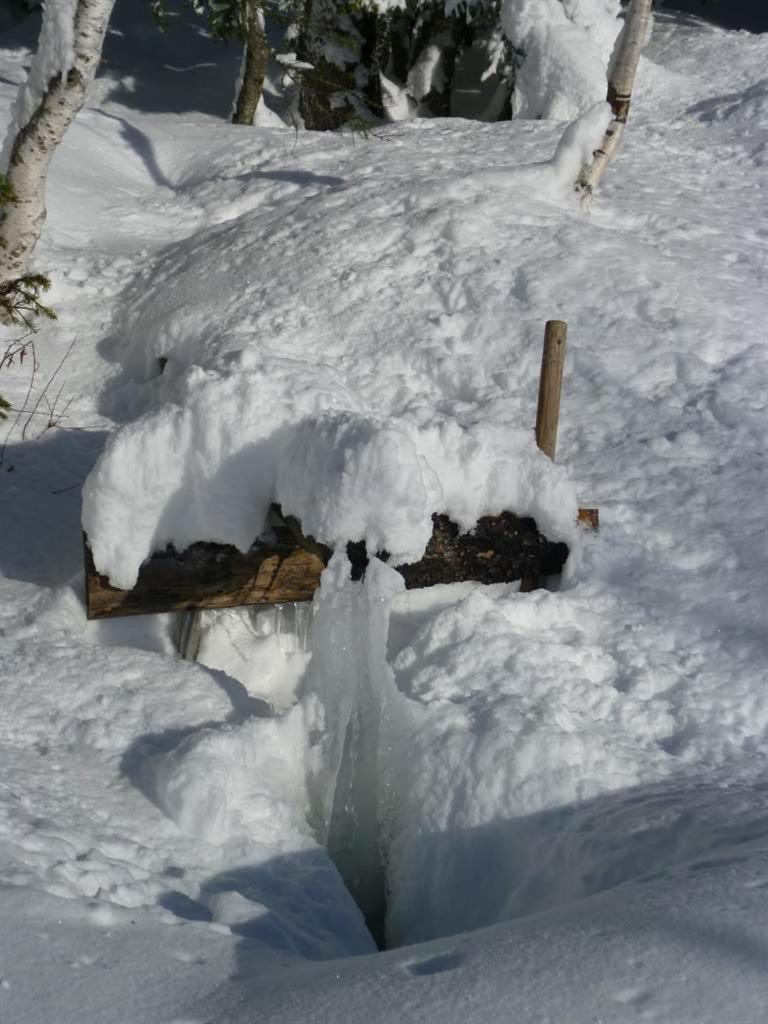 Haus Dagmar Lägenhet Silbertal Exteriör bild