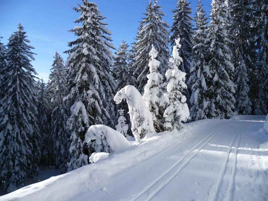 Haus Dagmar Lägenhet Silbertal Exteriör bild