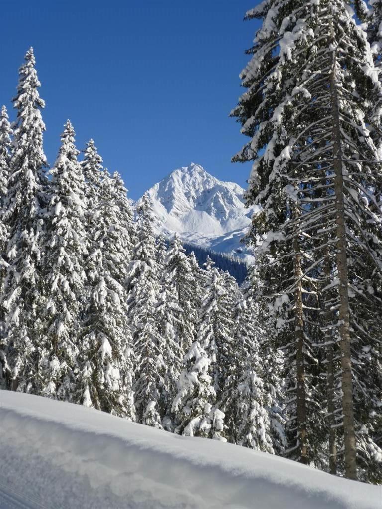 Haus Dagmar Lägenhet Silbertal Exteriör bild