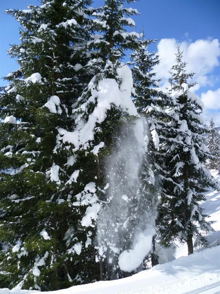 Haus Dagmar Lägenhet Silbertal Exteriör bild