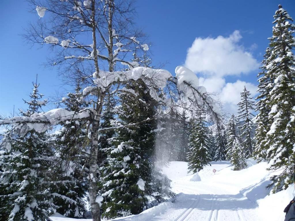 Haus Dagmar Lägenhet Silbertal Exteriör bild